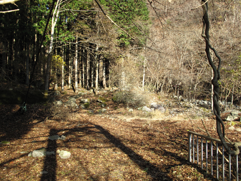 20161206hike (9)